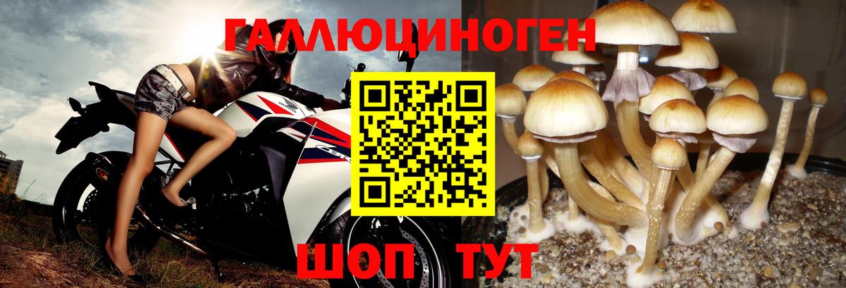 Галлюциногенные грибы MAGIC MUSHROOMS  Вход с VPN  Галлюциногенные грибы GOLDEN TEACHER  цена наркотик  Озёрск 